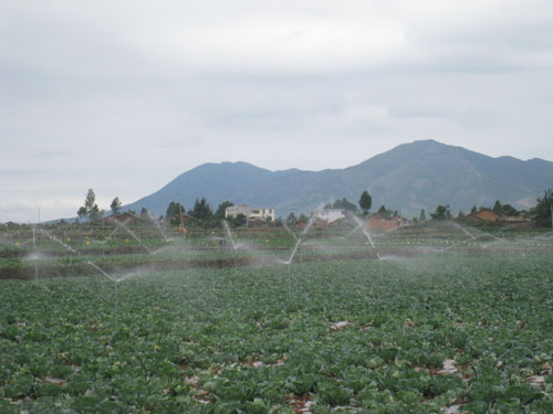 昭陽區(qū)農業(yè)局--無公害蔬菜基地噴灌系統(tǒng)安裝工程